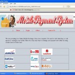 Mobile payment system home page