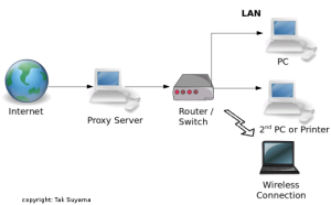 NFS Proxy Server System