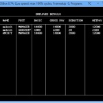 employee details 150x150 - Payroll Management System Project in C++