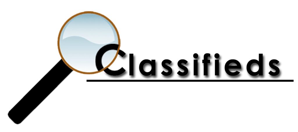 Classified Website